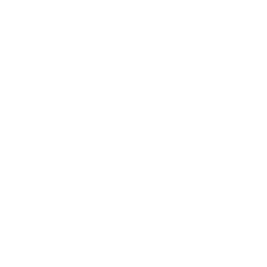 Changing lives, healing families