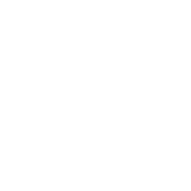 Changing Lives healing families