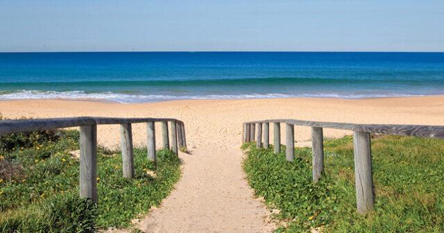 access to curl curl beach